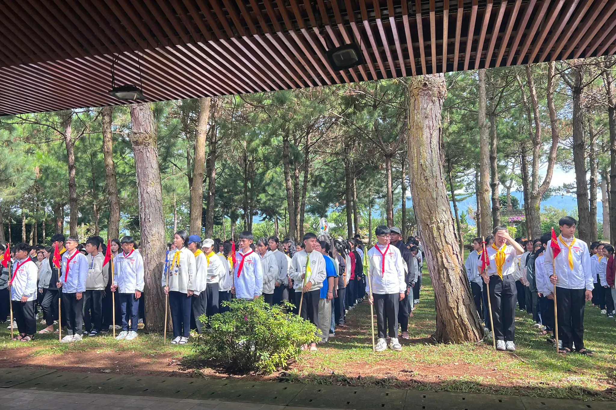 Thiếu Nhi Thánh Thể Đơn Dương: Ngành Nghĩa Sĩ và Hiệp Sĩ Hành Hương Năm Thánh 2025