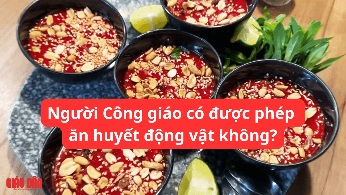Người Công giáo có được phép ăn huyết động vật không?