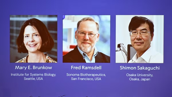 Một người mang tên Mẹ Maria đoạt giải Nobel Y Khoa 2025 3 Một người mang tên Mẹ Maria đoạt giải Nobel Y Khoa 2025