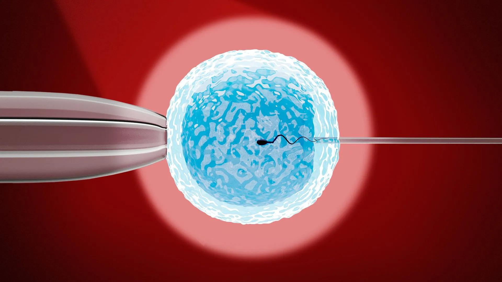 Người Công giáo có được thụ tinh nhân tạo (IVF) không?