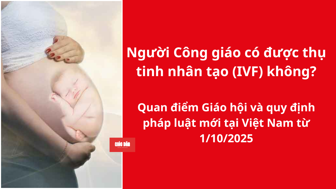 Người Công Giáo có được sinh con bằng IVF không? Nghị định mới của Việt Nam 2025
